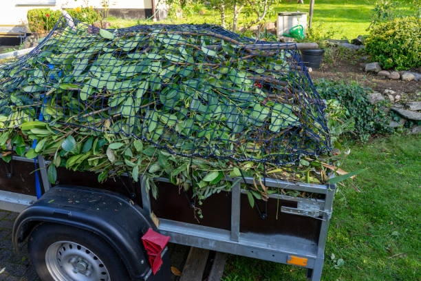 Best Hoarding Cleanup  in Gorman, NC